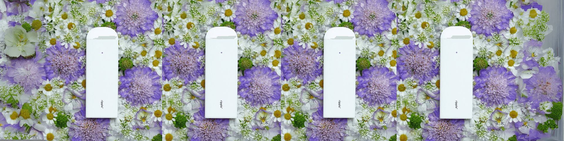 <div>Nasze&nbsp;</div><div>bestsellery</div>