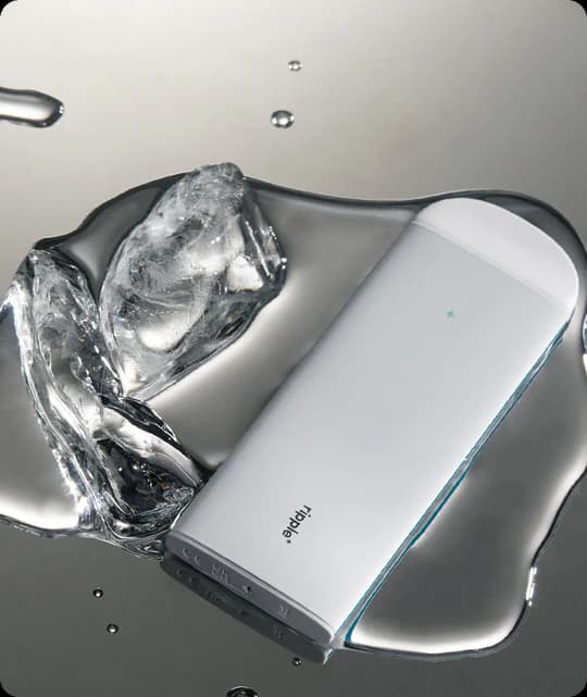 COOL - Mięta zielona