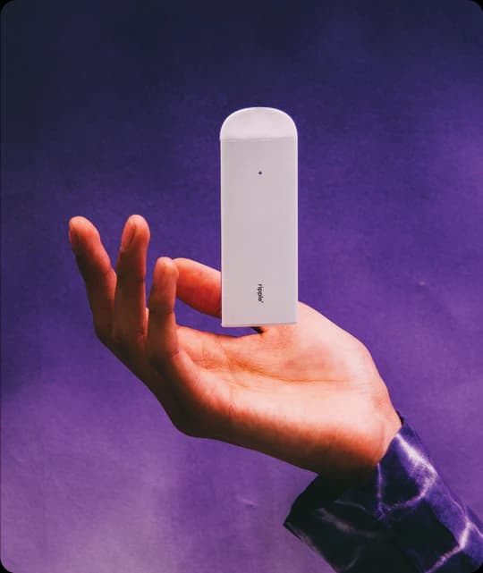 DREAM - Czarna Porzeczka