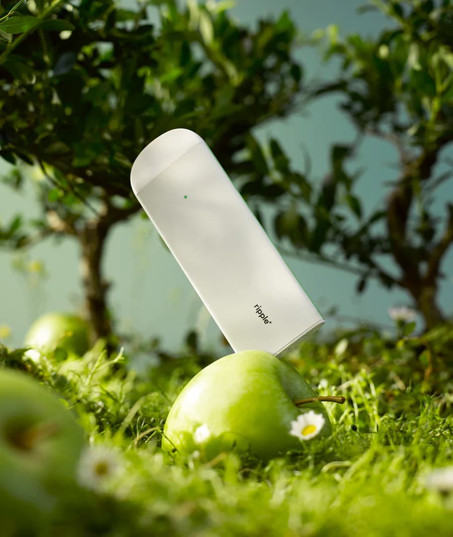 ROYAL -  Zielone jabłko