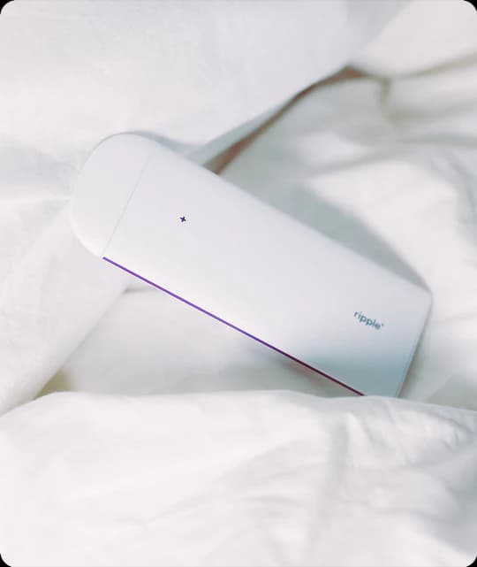 DREAM - Czarna Porzeczka